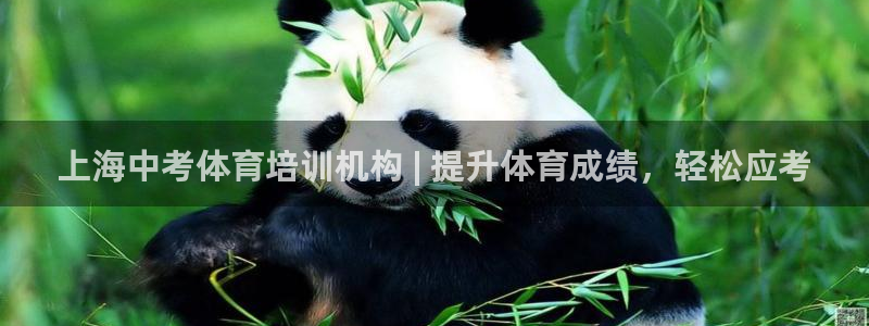 焦点娱乐佳 411O31 焦点：上海中考体育培训机构