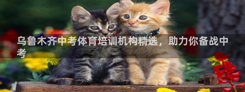 焦点娱乐官方网站首页下载安装：乌鲁木齐中考体育培训机