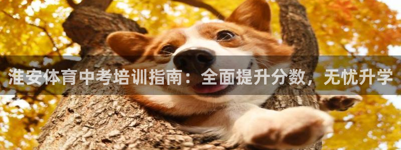 焦点娱乐app下载苹果版：淮安体育中考培训指南：全面