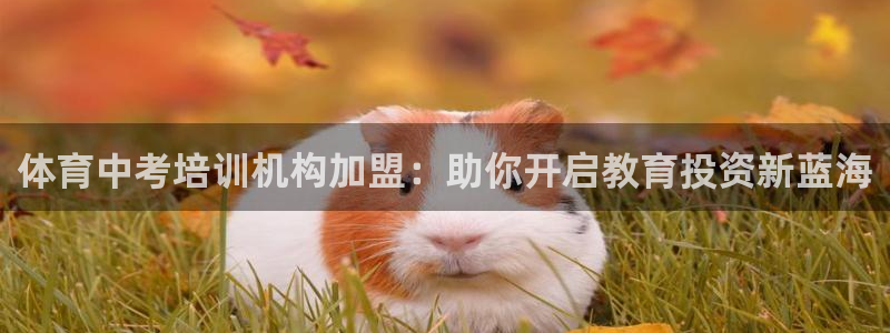 焦点娱乐平台例7O777：体育中考培训机构加盟：助你