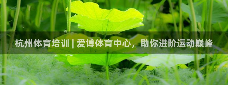 焦点娱乐公司：杭州体育培训 | 爱博体育中心，助你进