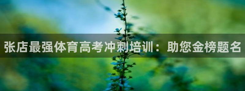 焦点娱乐下载手机版最新版：张店最强体育高考冲刺培训：