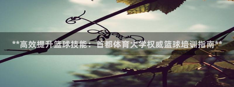 焦点娱乐传媒有限公司怎么样呀：**高效提升篮球技能：