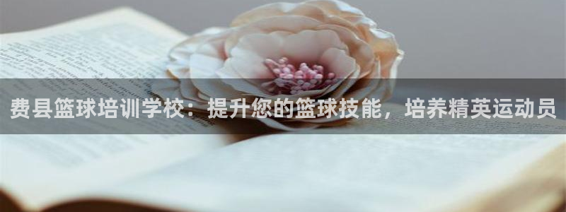 焦点娱乐全国总冠军有哪些：费县篮球培训学校：提升您的