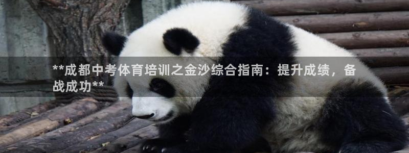 焦点娱乐陈江河：**成都中考体育培训之金沙综合指南：
