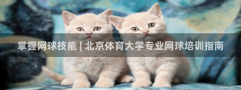 焦点娱乐官方网站下载：掌握网球技能 | 北京体育大学