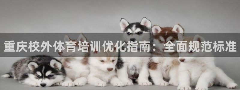 焦点娱乐公司：重庆校外体育培训优化指南：全面规范标准