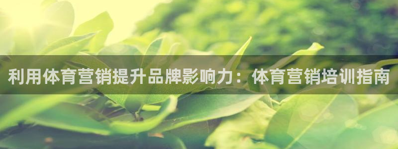 焦点娱乐app下载官网苹果手机：利用体育营销提升品牌
