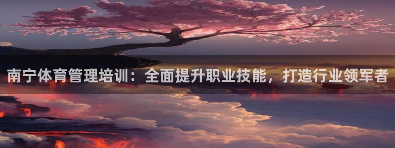 焦点娱乐官网下载苹果版：南宁体育管理培训：全面提升职