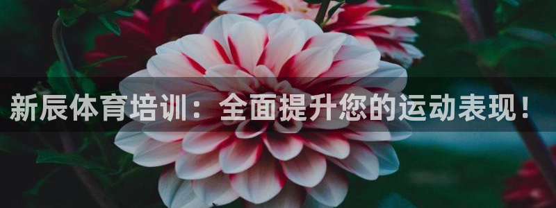 焦点娱乐app下载官网苹果：新辰体育培训：全面提升您