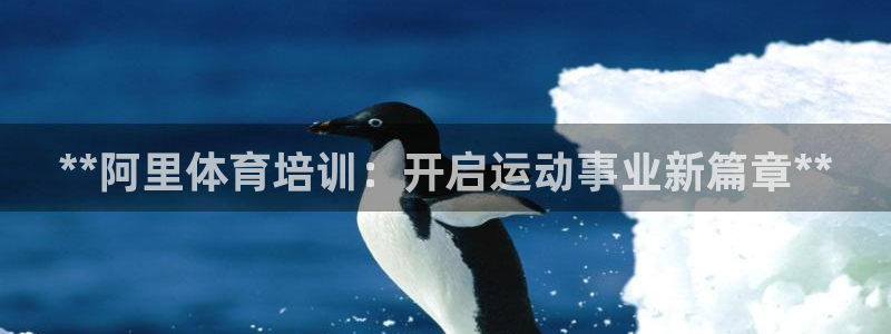 焦点娱乐传媒有限公司招聘信息：**阿里体育培训：开启