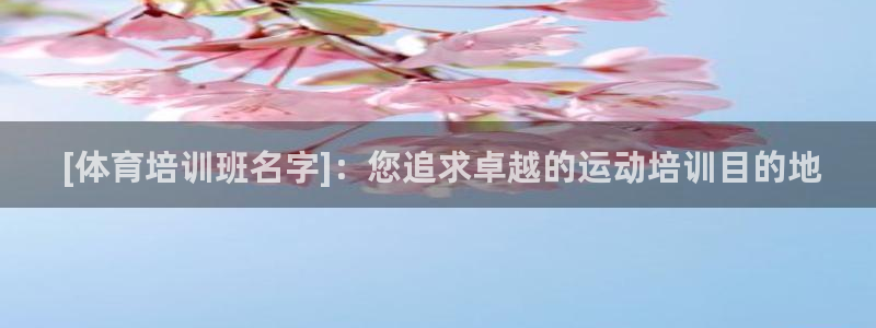 焦点娱乐软件版本下载： [体育培训班名字]：您追求卓
