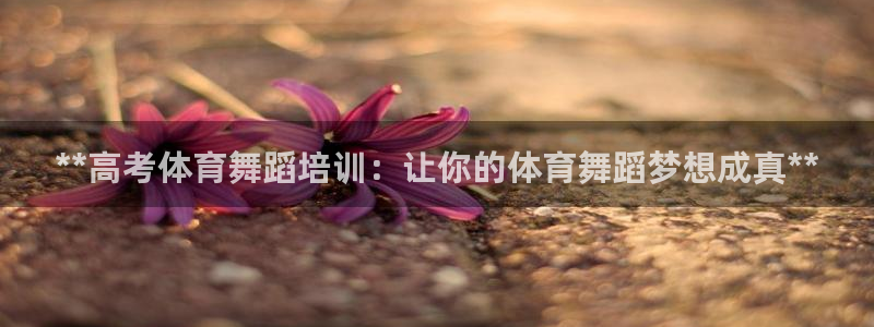 焦点娱乐全国总冠军都有谁：**高考体育舞蹈培训：让你