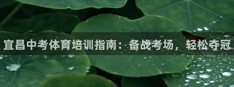 焦点娱乐是哪个公司的产品：宜昌中考体育培训指南：备战