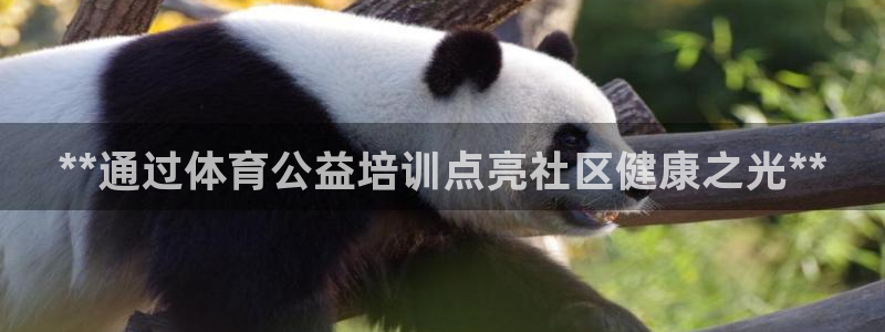 焦点娱乐皮皮虾视频：**通过体育公益培训点亮社区健康