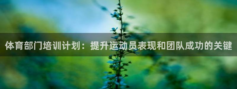 焦点娱乐全国总冠军：体育部门培训计划：提升运动员表现