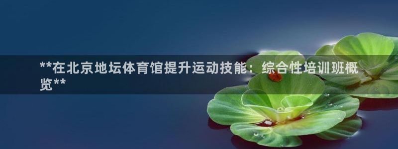 焦点娱乐网站下载地址在哪：**在北京地坛体育馆提升运