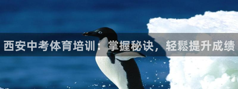 焦点娱乐app下载官网最新版：西安中考体育培训：掌握
