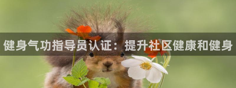 焦点娱乐app下载安装苹果：健身气功指导员认证：提升