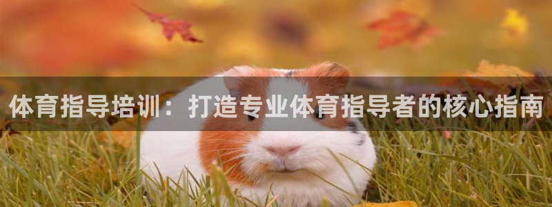 焦点娱乐官网首页入口下载：体育指导培训：打造专业体育