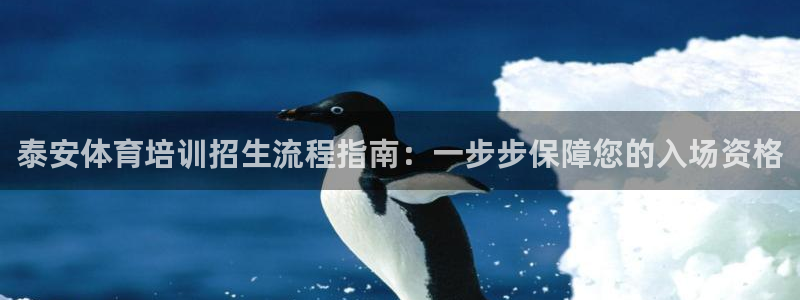 焦点娱乐议 411o31 娱乐：泰安体育培训招生流程