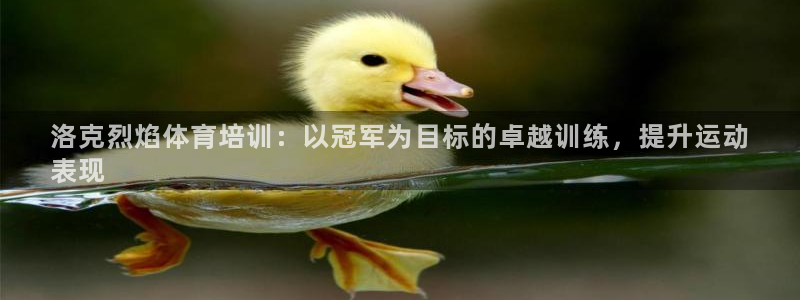 焦点娱乐app下载安装苹果：洛克烈焰体育培训：以冠军