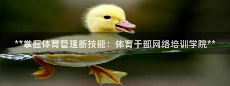 焦点娱乐平台注册账号安全吗：**掌握体育管理新技能：