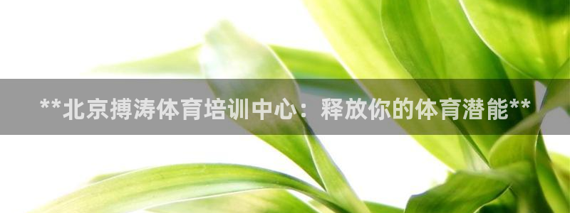 焦点娱乐传媒有限公司是干嘛的：**北京搏涛体育培训中