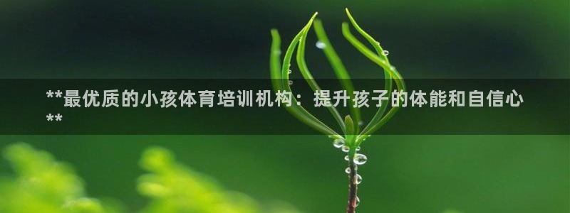 焦点娱乐总代理是谁：**最优质的小孩体育培训机构：提
