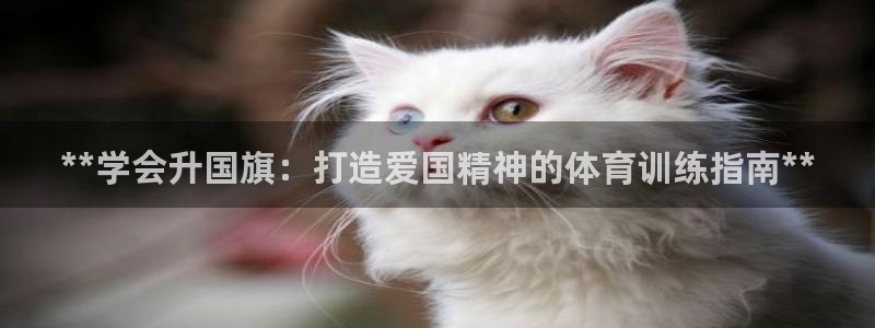 焦点娱乐官网下载安装最新版：**学会升国旗：打造爱国精神的体