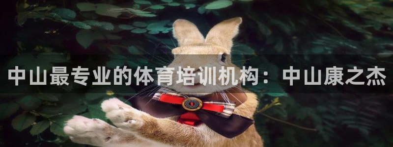 焦点娱乐公司简介资料：中山最专业的体育培训机构：中山