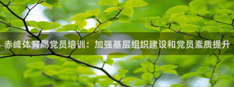 焦点娱乐官方网站首页下载手机版：赤峰体育局党员培训：