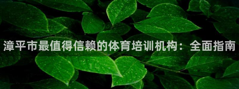 焦点娱乐ktv：漳平市最值得信赖的体育培训机构：全面