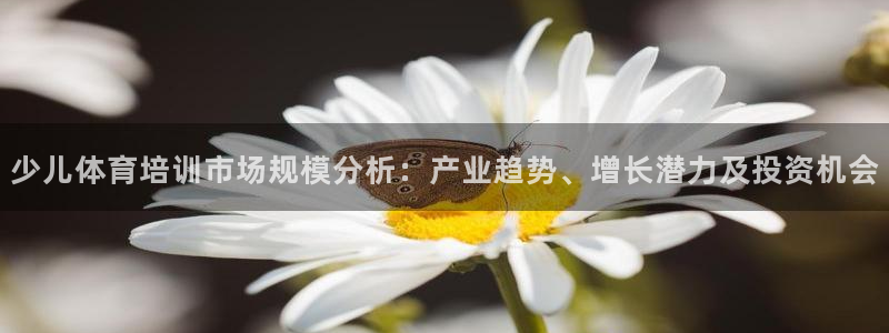 焦点娱乐官方网站下载手机版安装：少儿体育培训市场规模