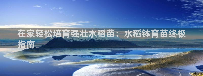焦点娱乐官网下载安装手机版苹果：在家轻松培育强壮水稻
