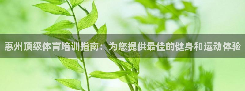 焦点娱乐有限公司官网：惠州顶级体育培训指南：为您提供