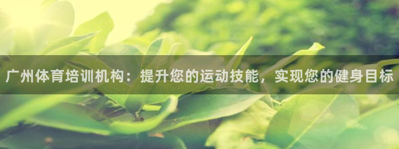 焦点娱乐官网首页：广州体育培训机构：提升您的运动技能