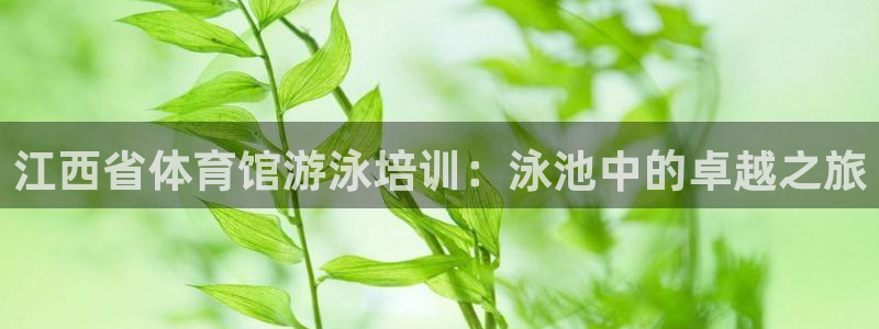 焦点娱乐力 411o31 焦点：江西省体育馆游泳培训