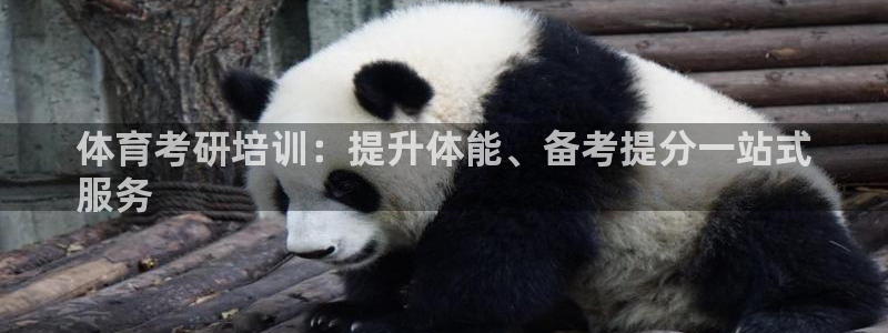焦点娱乐传媒有限公司招聘电话：体育考研培训：提升体能