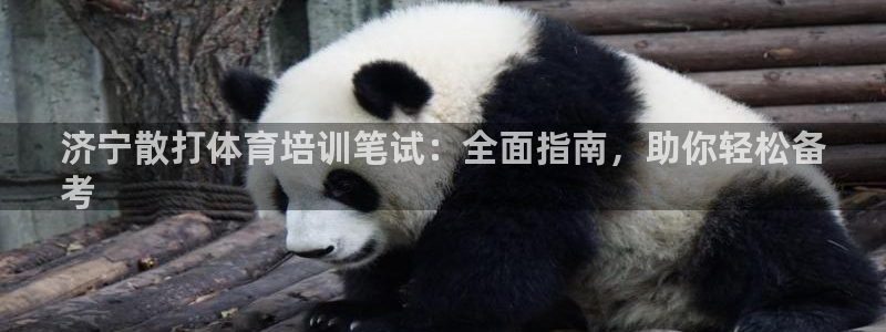 焦点娱乐app下载官网苹果手机：济宁散打体育培训笔试