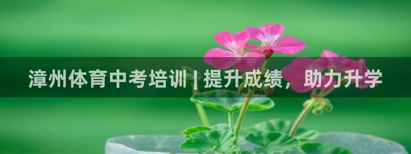 焦点娱乐是哪个公司的：漳州体育中考培训 | 提升成绩
