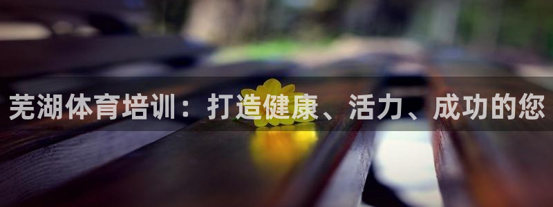 焦点娱乐是哪个公司的：芜湖体育培训：打造健康、活力、