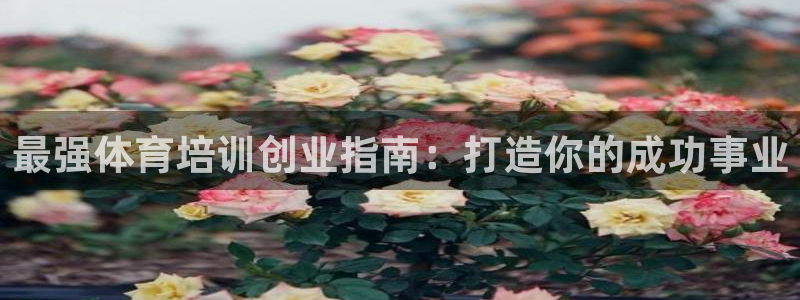 焦点娱乐加速器下载：最强体育培训创业指南：打造你的成