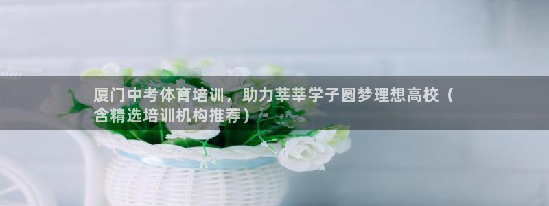 焦点娱乐网站下载地址在哪：厦门中考体育培训，助力莘莘学子圆梦