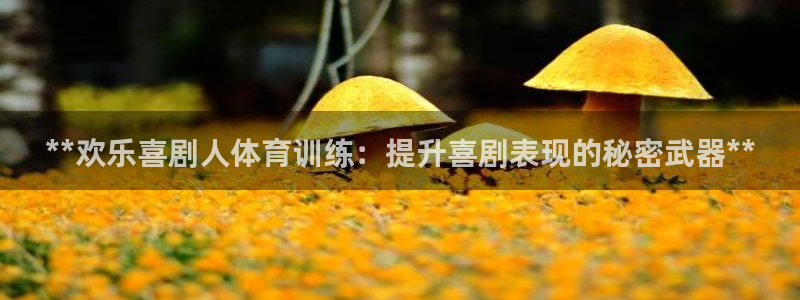 焦点娱乐官方网站入口在线观看：**欢乐喜剧人体育训练