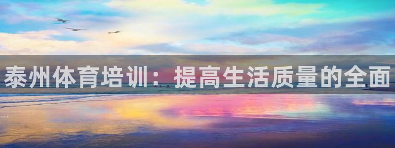 焦点娱乐软件版本区别