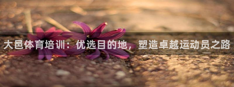 焦点娱乐游戏怎么玩教程：大邑体育培训：优选目的地，塑