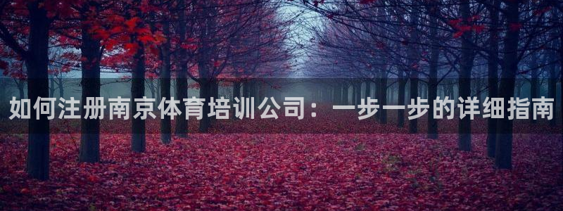 焦点娱乐平台任7O777：如何注册南京体育培训公司：