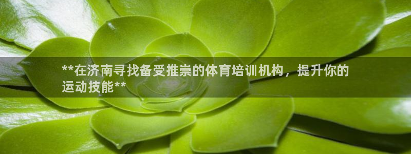 焦点娱乐app下载官网苹果手机：**在济南寻找备受推