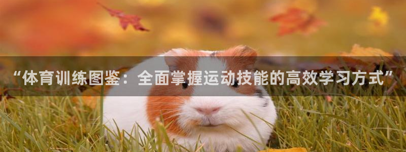 焦点娱乐平台客服热线号码